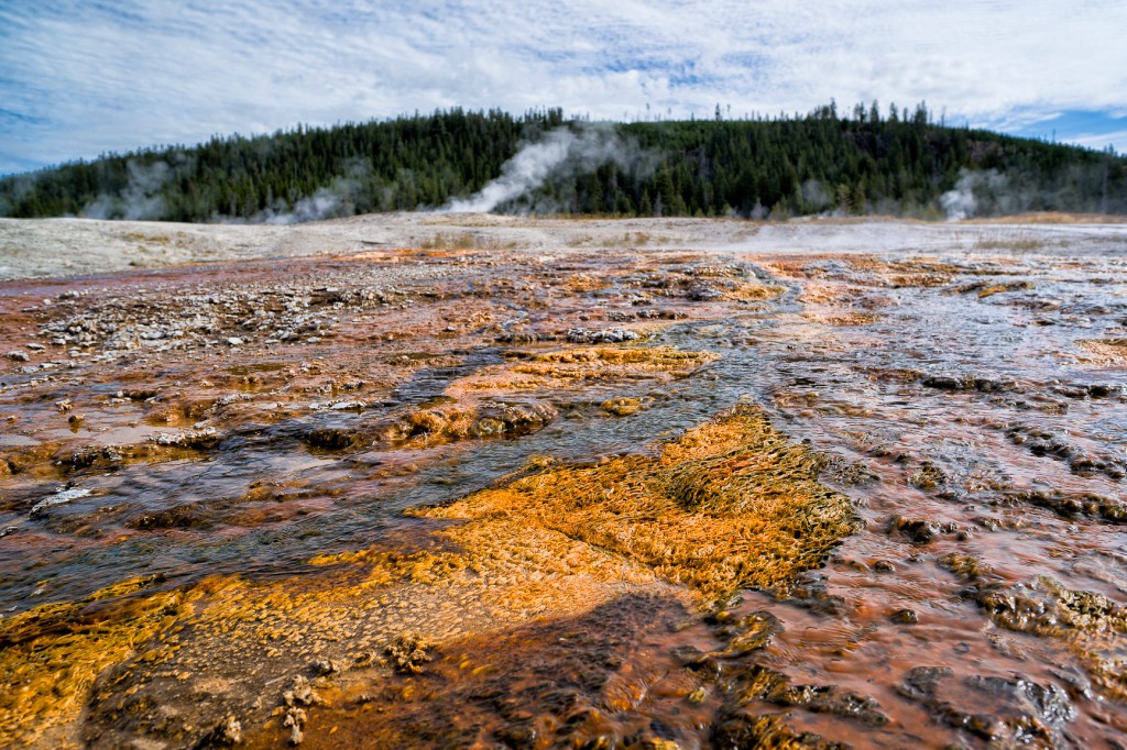 Colors of Yellowstone