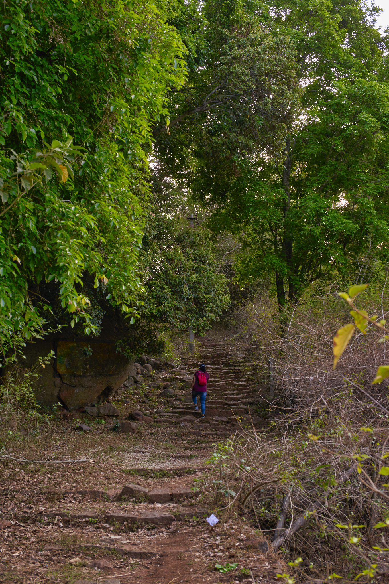 Swamimalai Hill Trek