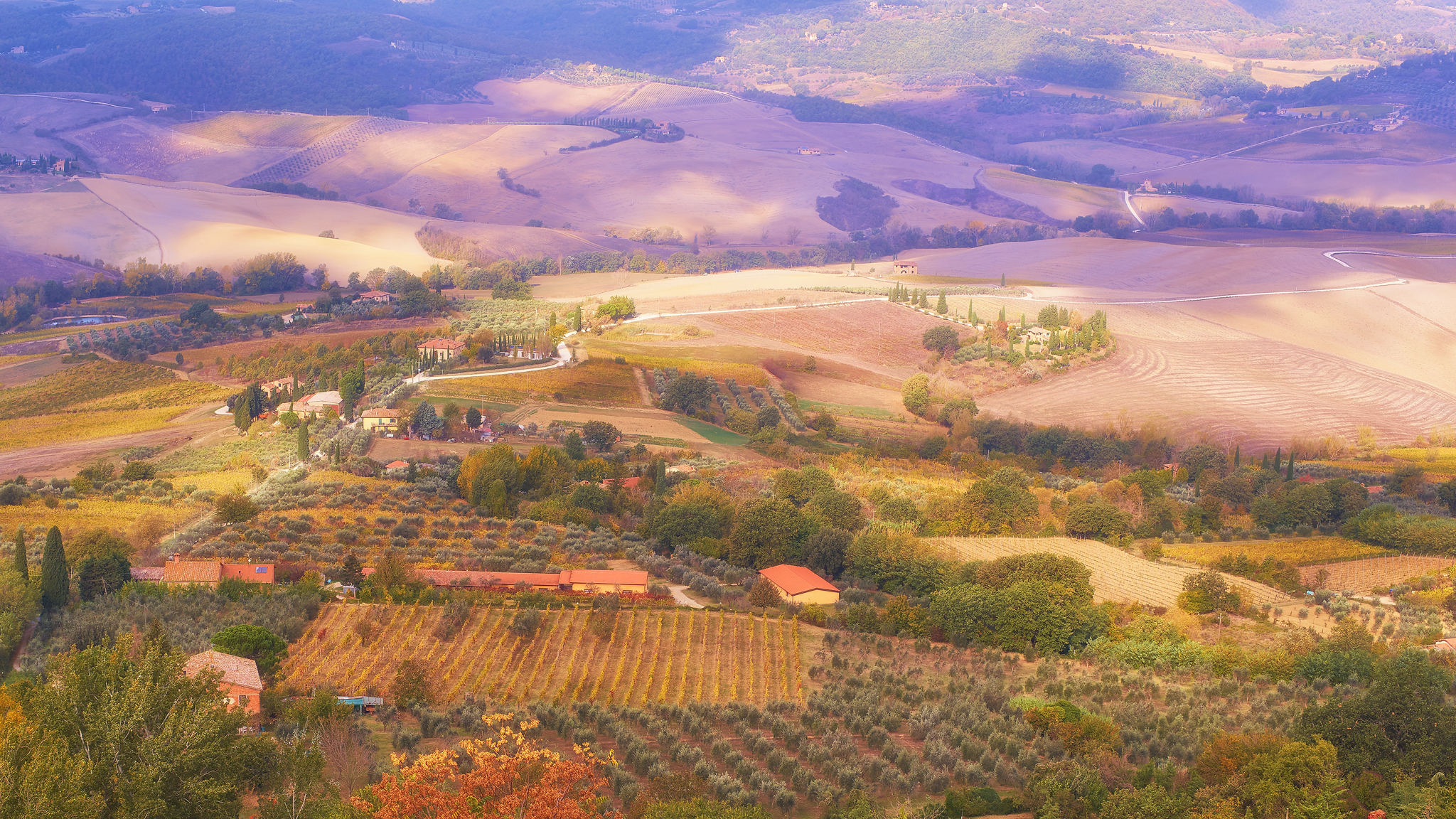 The Memory of Light: A Journey Through Val d'Orcia